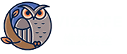 Vizsafe